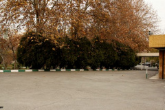دفتر مرکزی